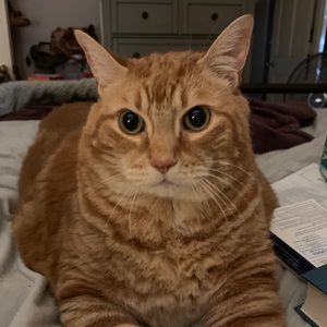 Meet your Posher, Christy